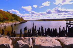 A photograph of the remains of an old wharf on a river.
