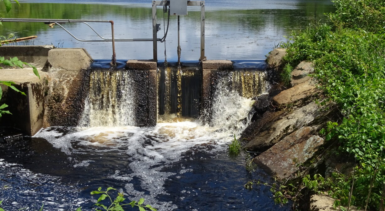 A photograph of a dam on a pond in summertime.