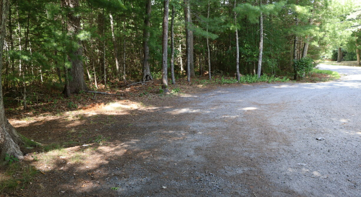 A photograph of a roadside parking area beside a forest.
