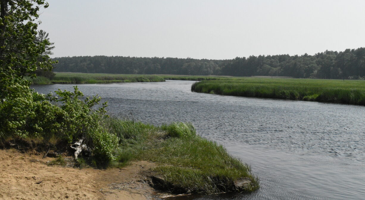 A photograph of a river with salt marsh and a sandy beach.