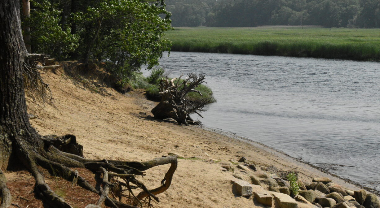 A photograph of a sandy beach beside a river, with rocks and a large stump on the shore.
