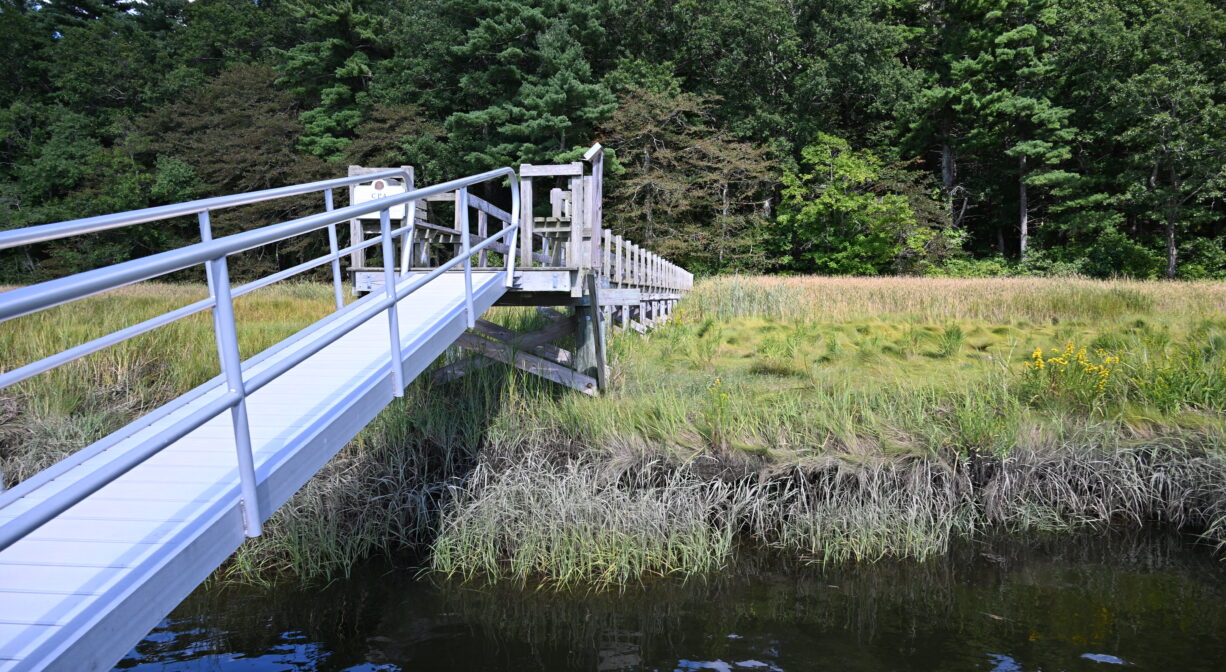 A photograph of a metal ramp connection a dock and a river, with forest and marsh.