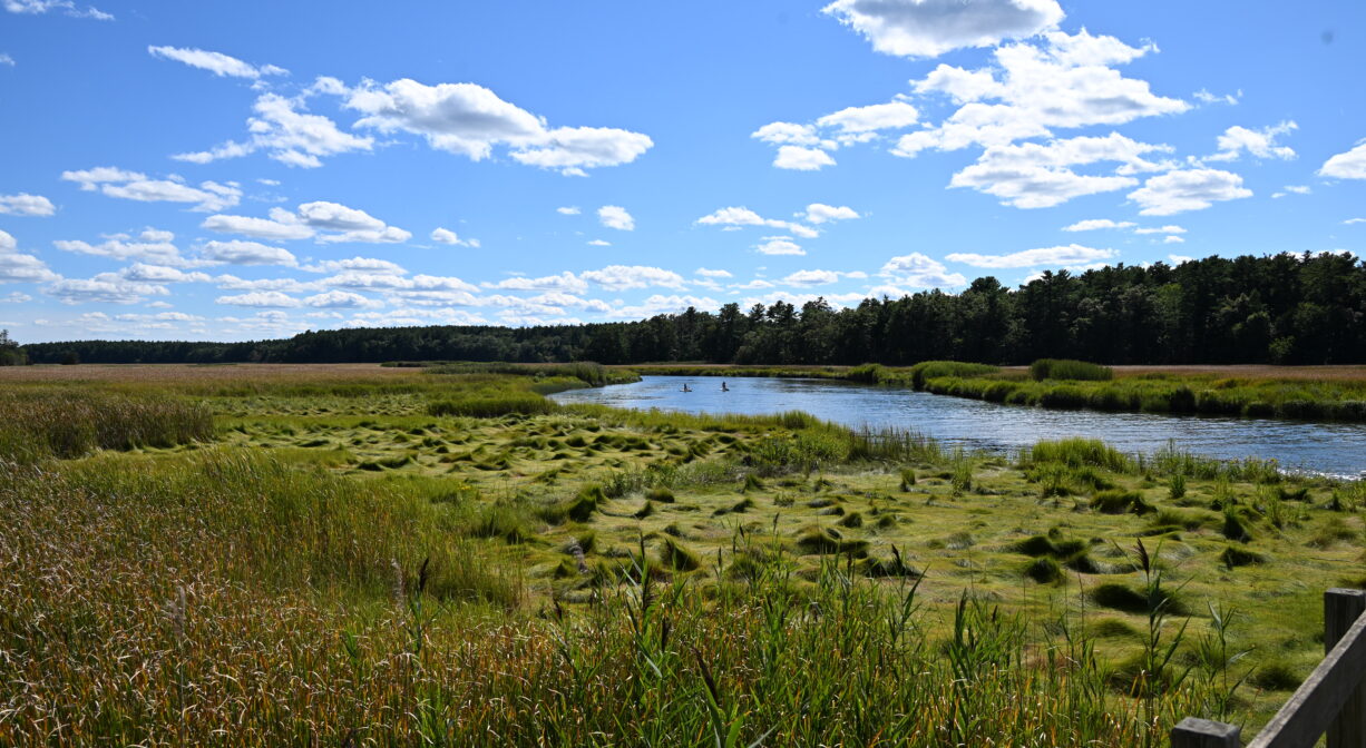 A photograph of a river and marsh.