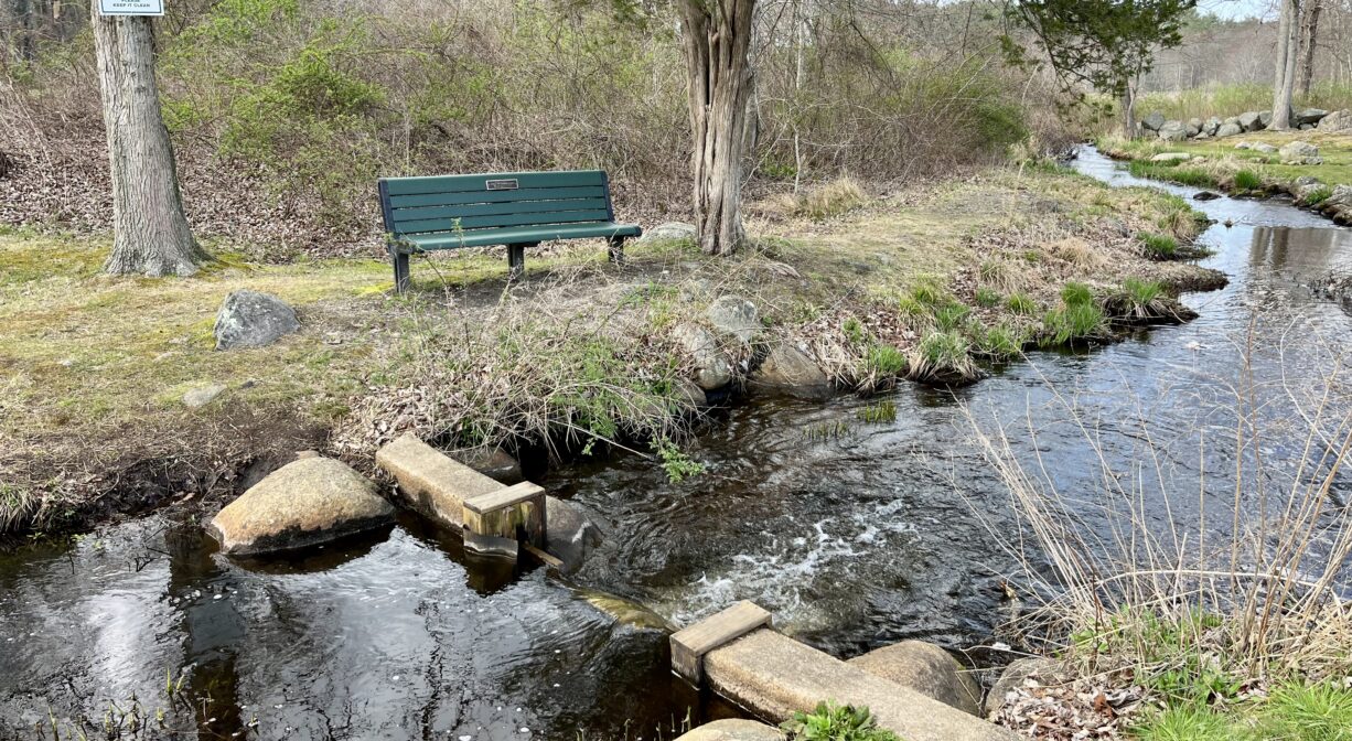 A photograph of a stream flowing through a park with a concrete structure in the water and a green bench on the shore.