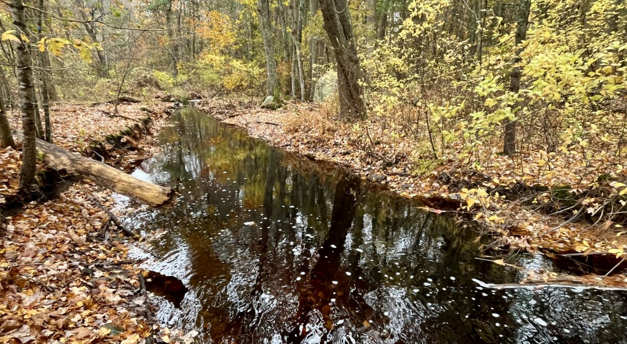 A photograph of a stream flowing through a colorful autumn forest.