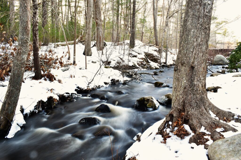 A photograph of a stream flowing through a snow-covered forest.