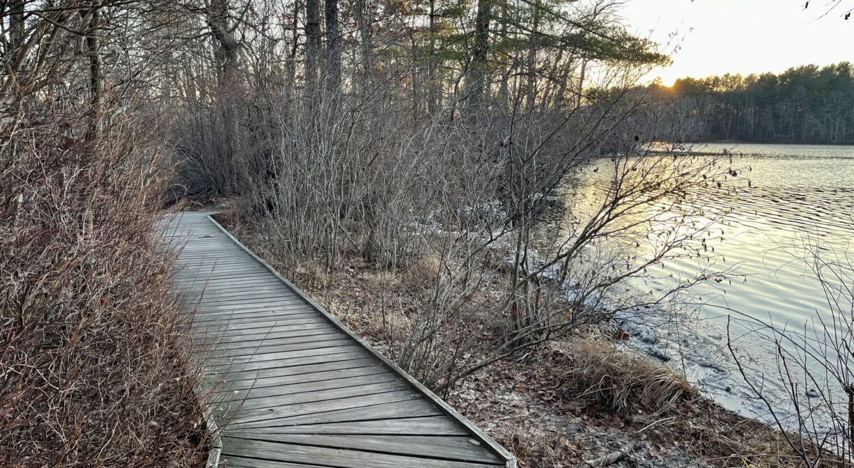 A photograph of a wooden boardwalk along the edge of a pond.