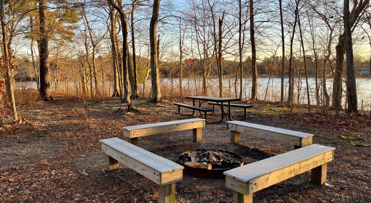 A photograph of four wooden benches in a woodland.