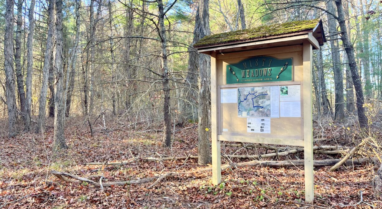 A photograph of an informational kiosk in a forest.