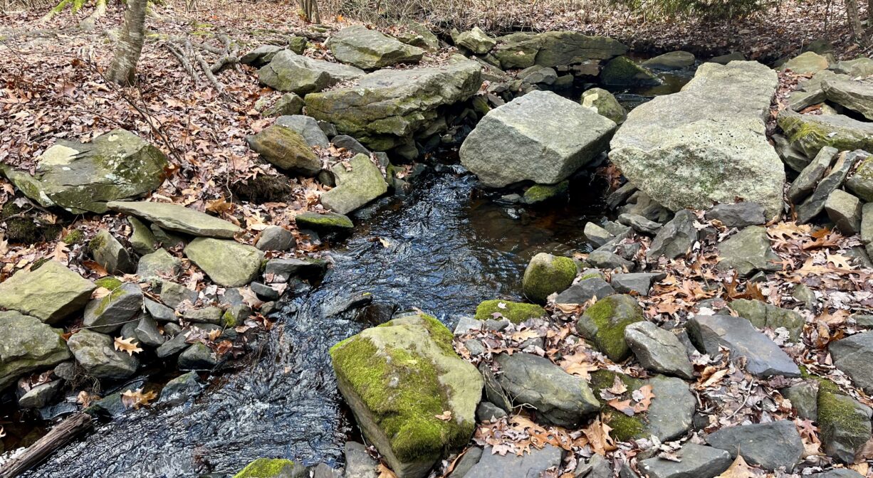 A photograph of a rocky stream in a forest.