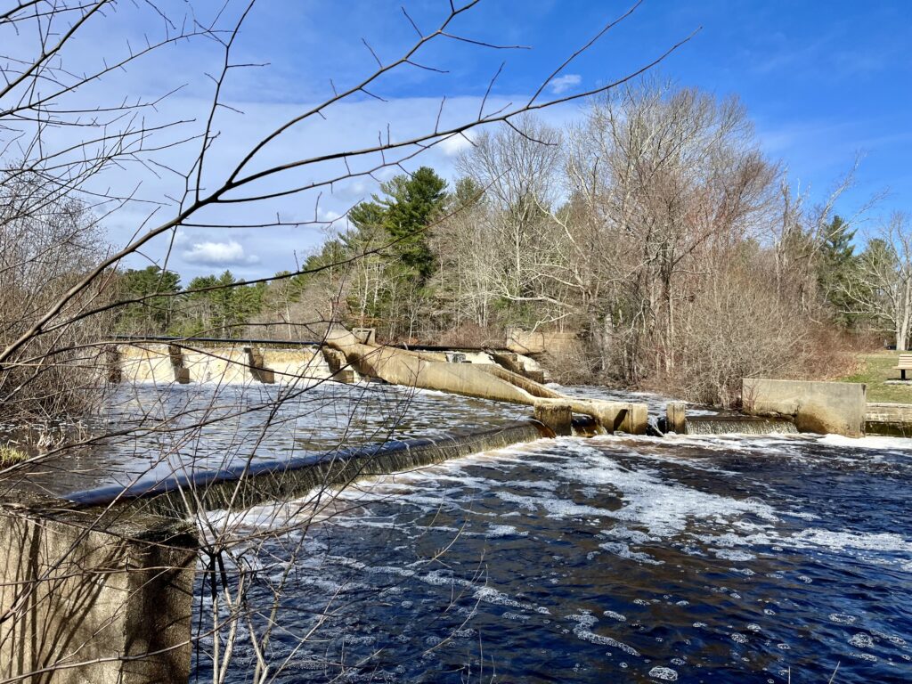 A photograph of a dam and fish ladder on a river.
