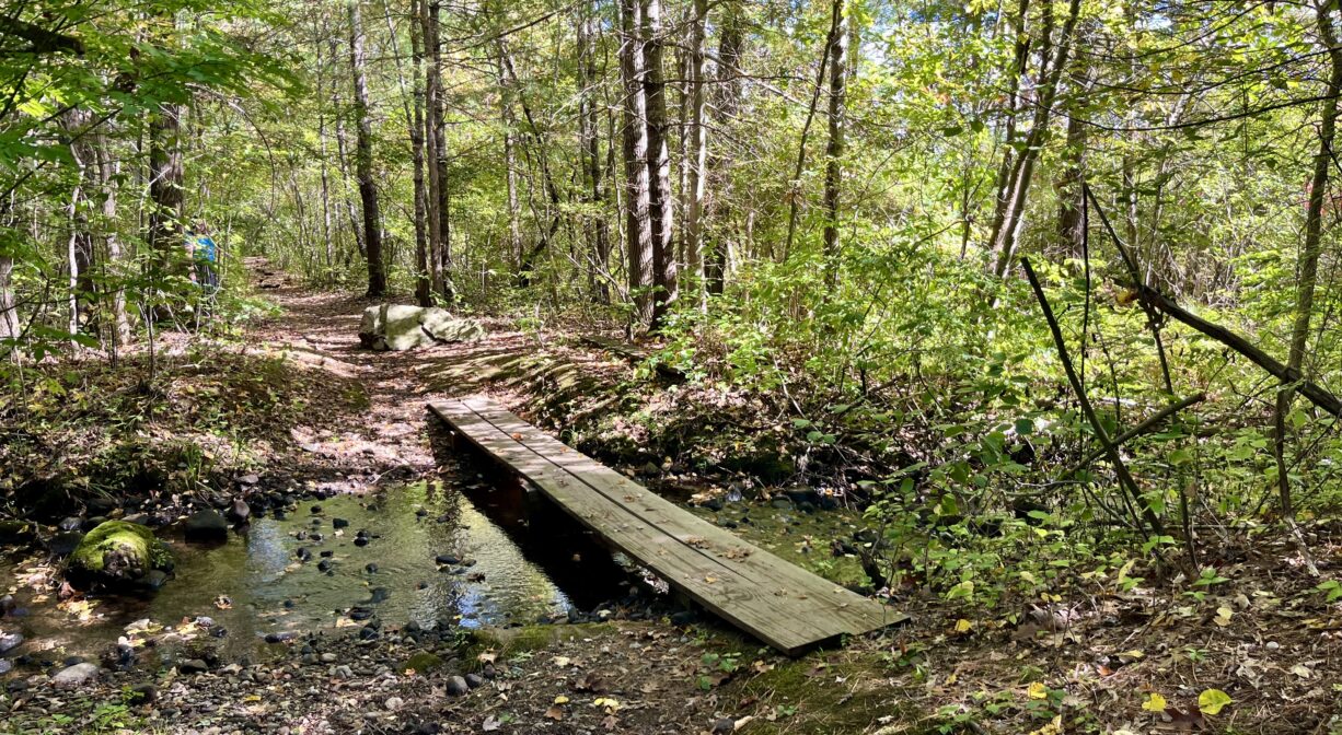 A photograph of a footbridge over a stream in a forest.