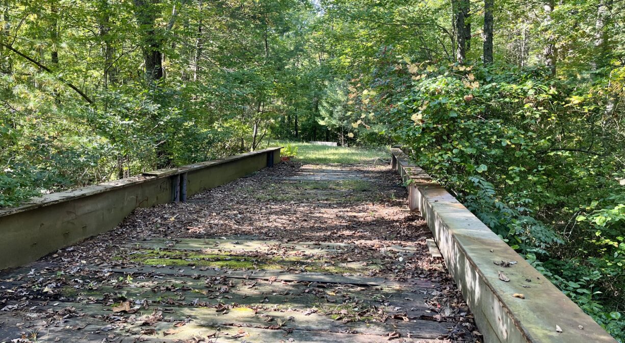 A photograph of an old train bridge in a forest.
