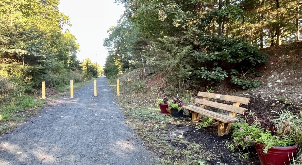 A photograph of a bench and some ornamental plantings beside a rail trail.