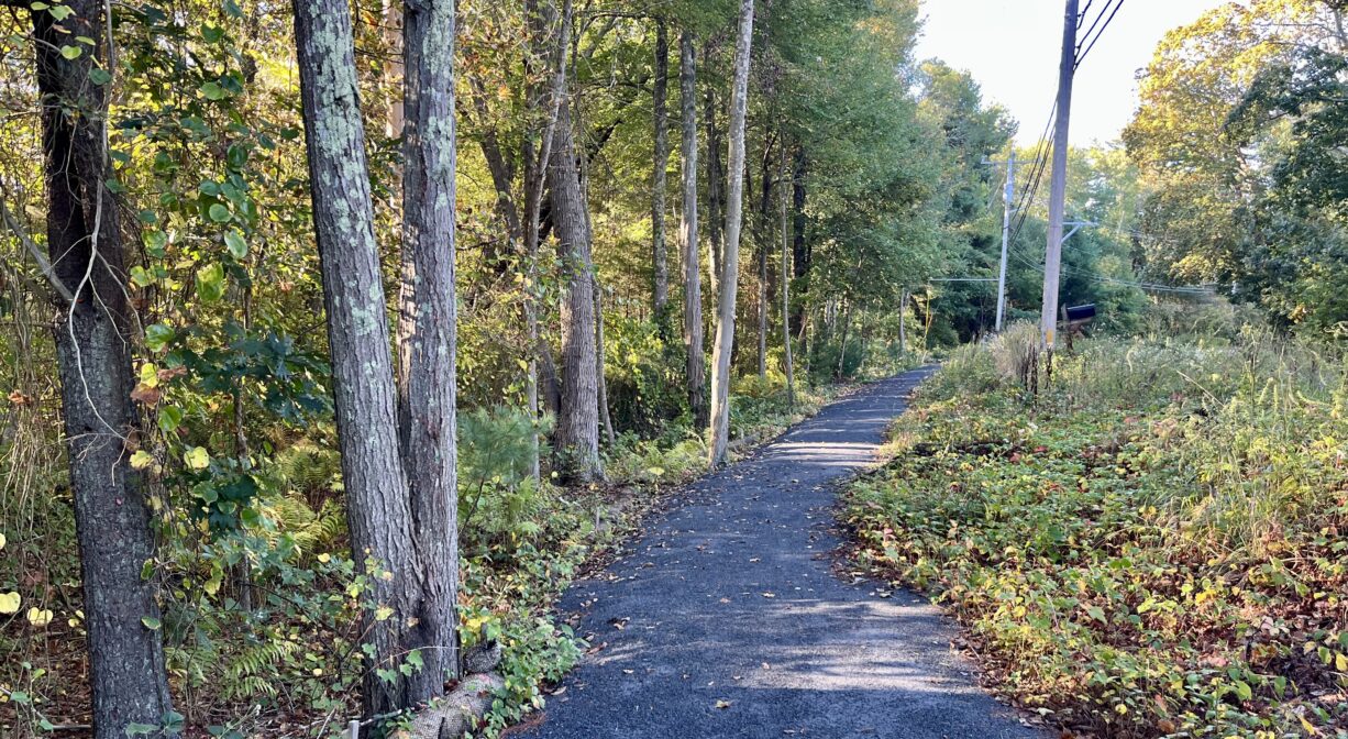 A photograph of a gravel trail along a roadside, bordered by forest.
