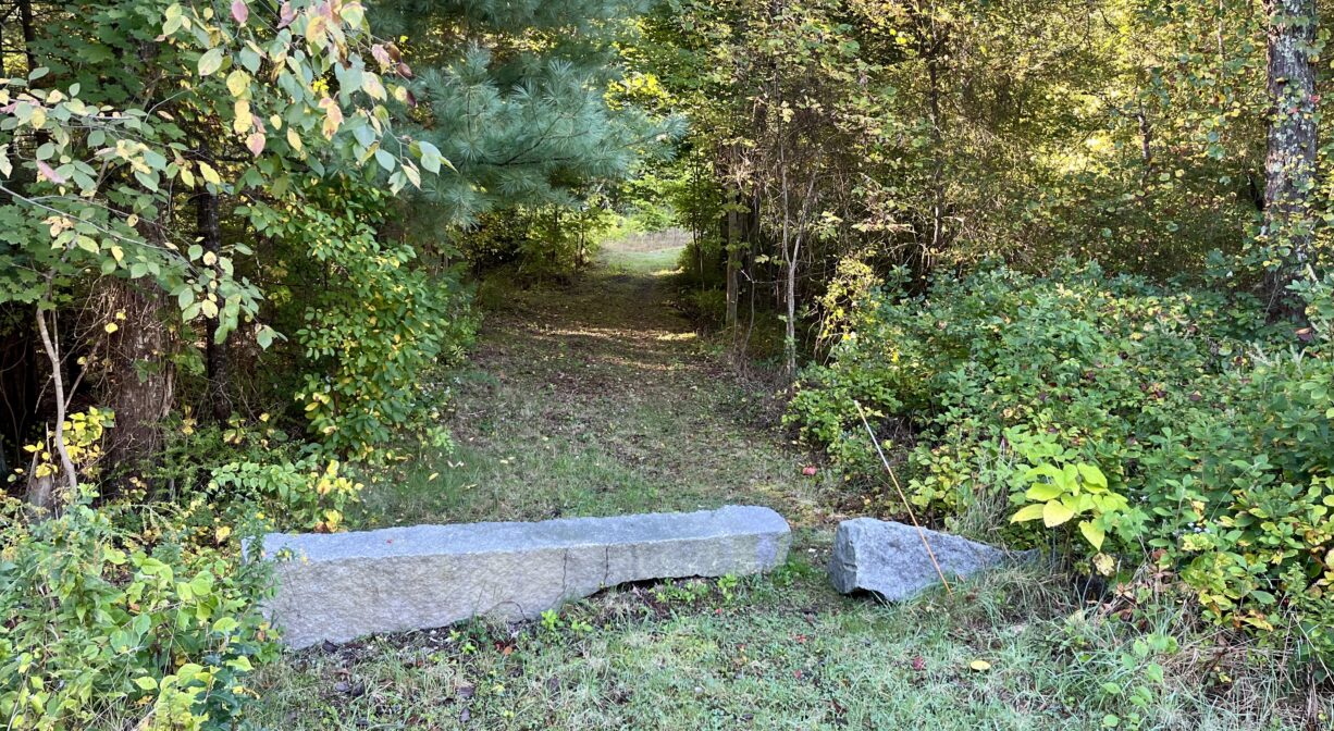 A photograph of a trail with granite blocks in the foreground and a clearing in the background.