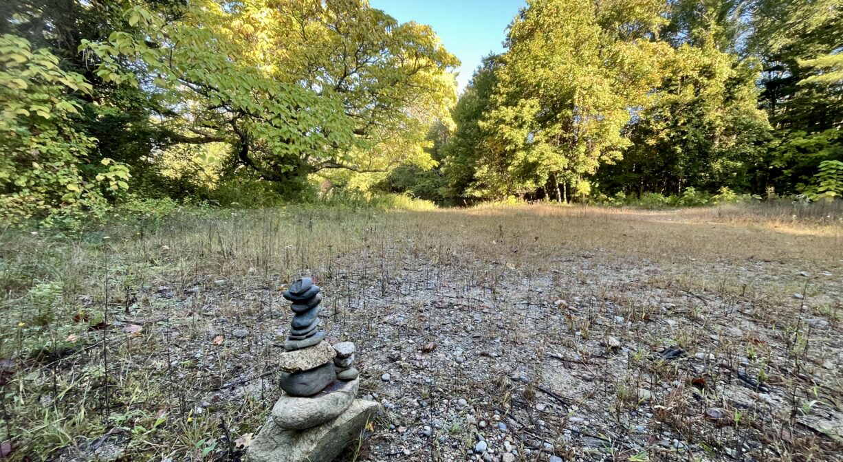 A photograph of a clearing surrounded with trees, with a pile of stones in the foreground.
