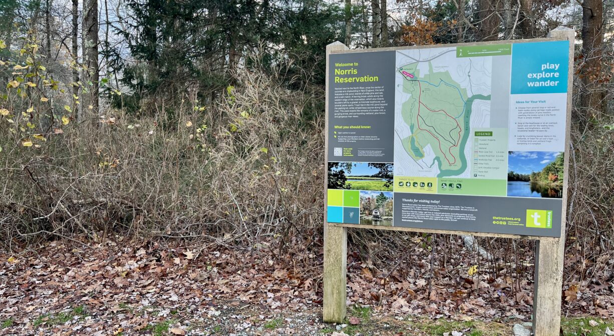 A photograph of an informational kiosk beside a forest trail.