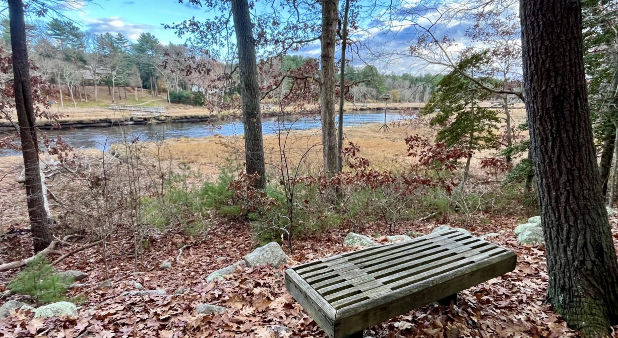A photograph of a bench in a forest overlooking a river.