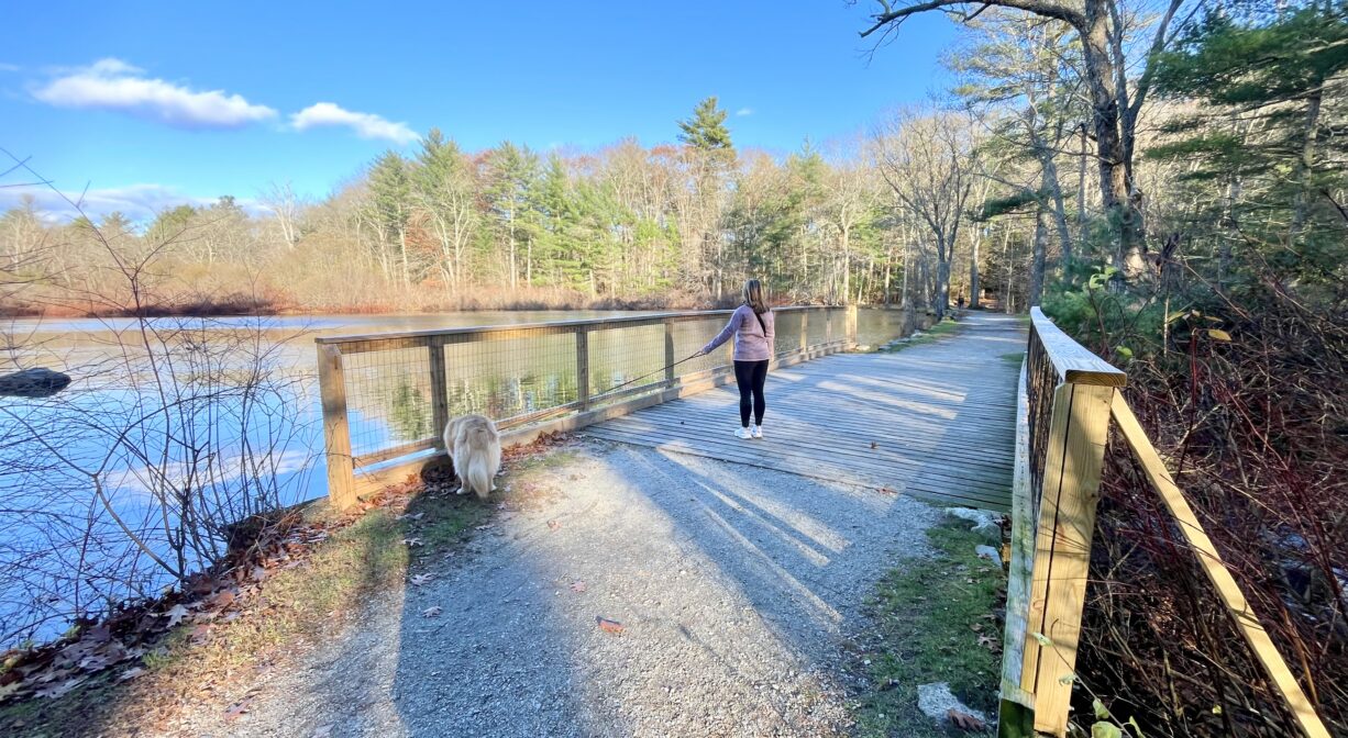 A photograph of an individual walking a dog on a bridge by a pond.