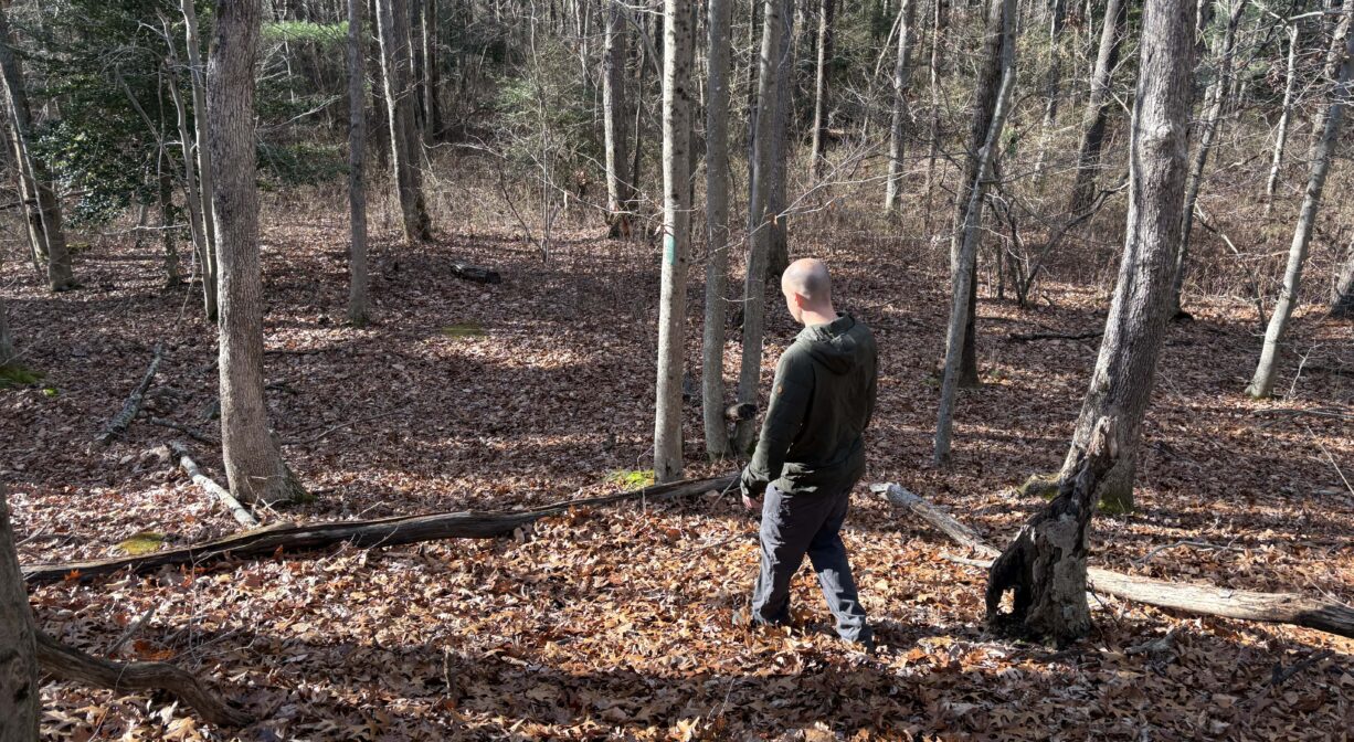 A photograph of an individual walking down a hill in a forest.