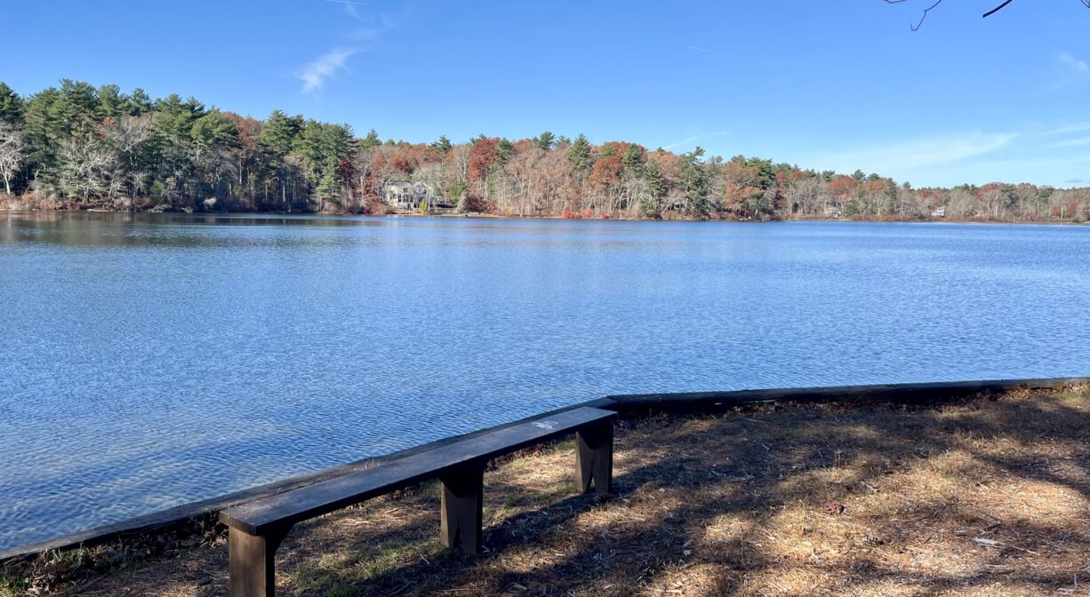 A photograph of a wooden bench beside a pond, with trees on the distant shore.