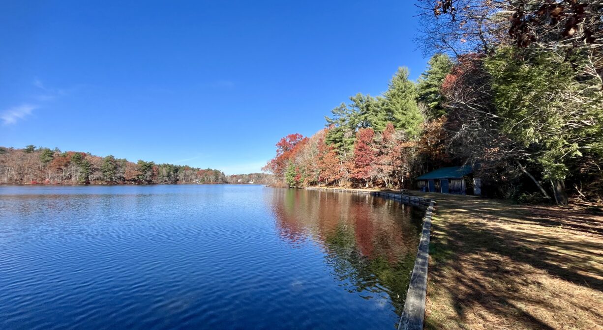 A photograph of a pond on a sunny day with colorful trees surrounding the pond.