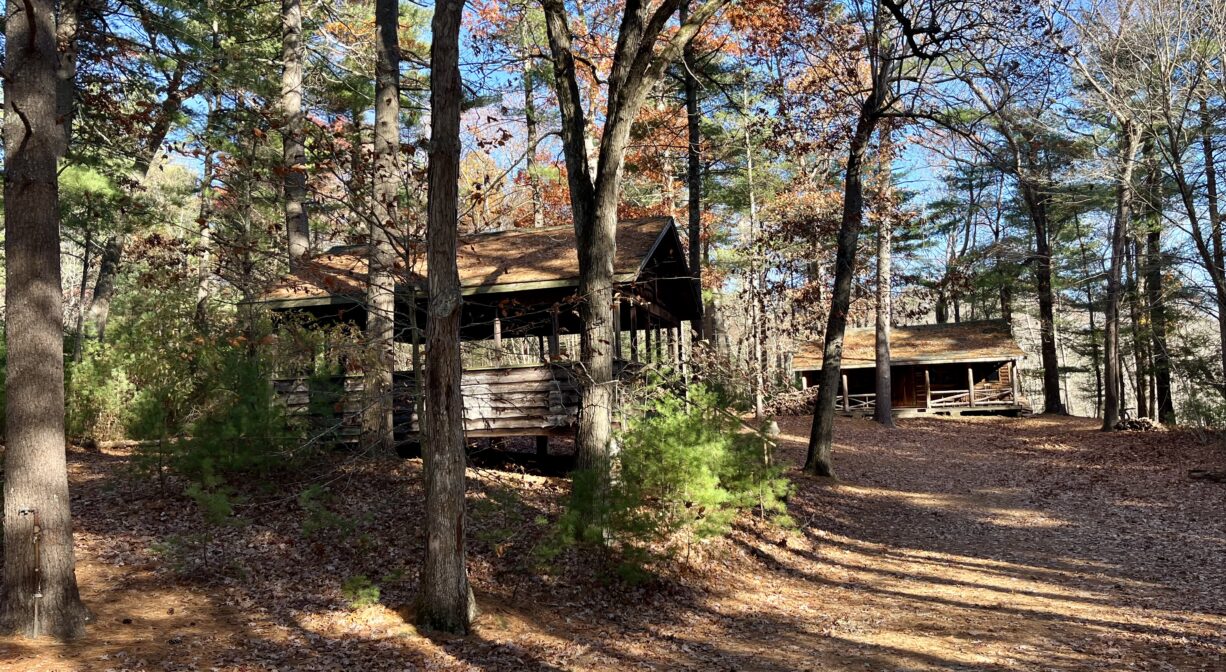 A photograph of an unpaved road in a forest, extending past two wooden cabins.