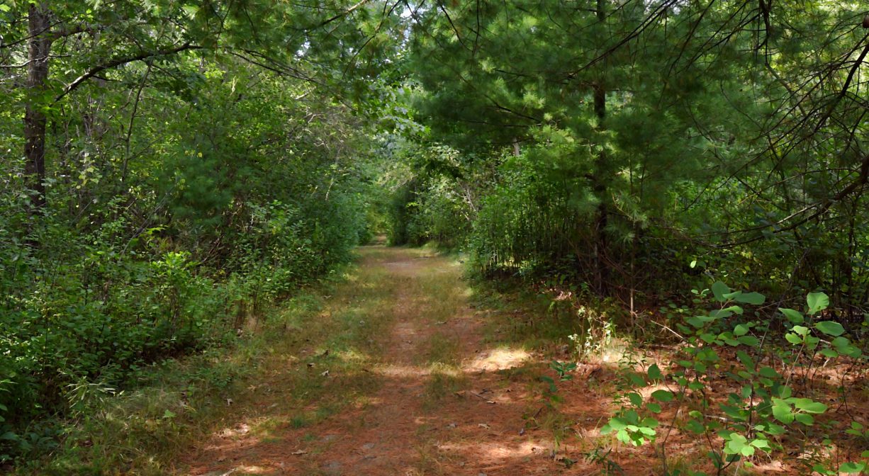 Thompson Pond Trail North and South Rivers Watershed Association