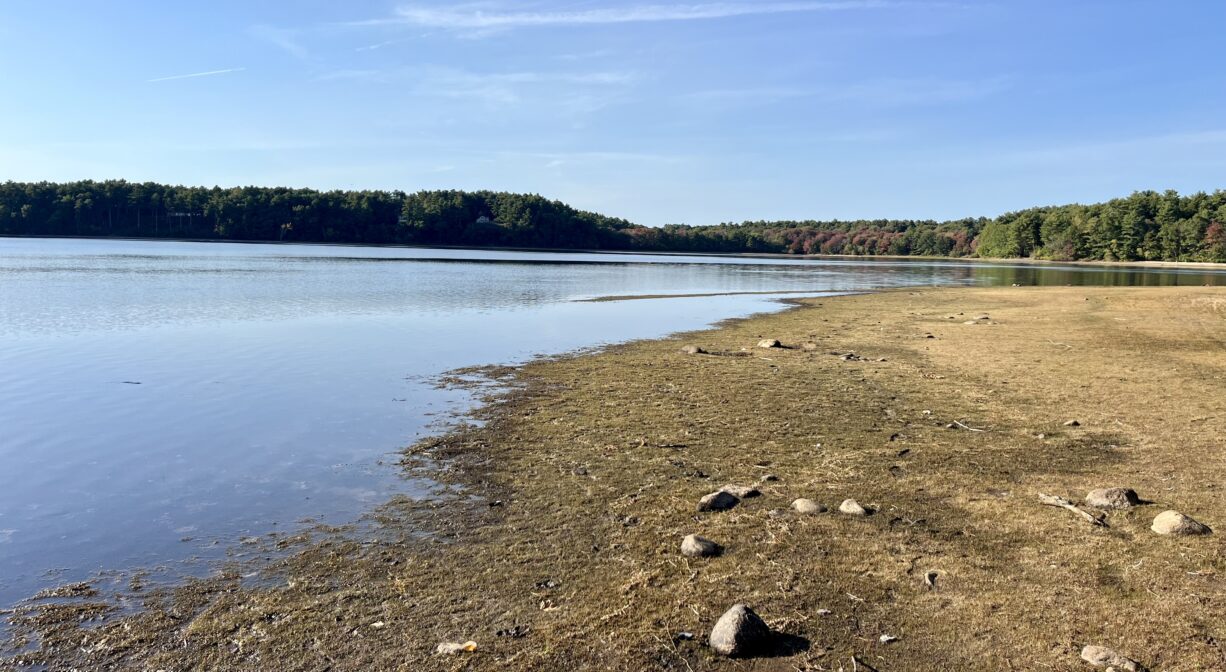 A photograph of a lakeshore in drought.