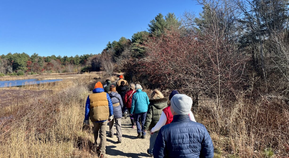 A photograph of a group of people walking on a wide trail by a wetland.