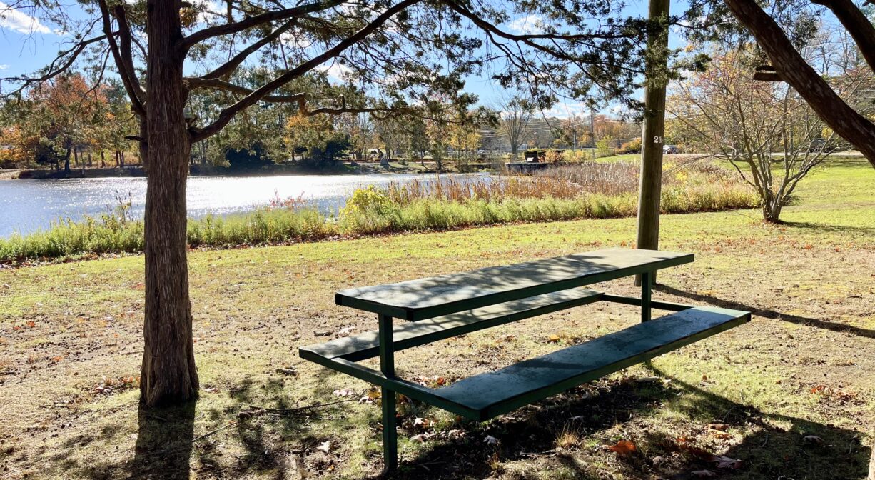 A photograph of a picnic table in a park under some trees.