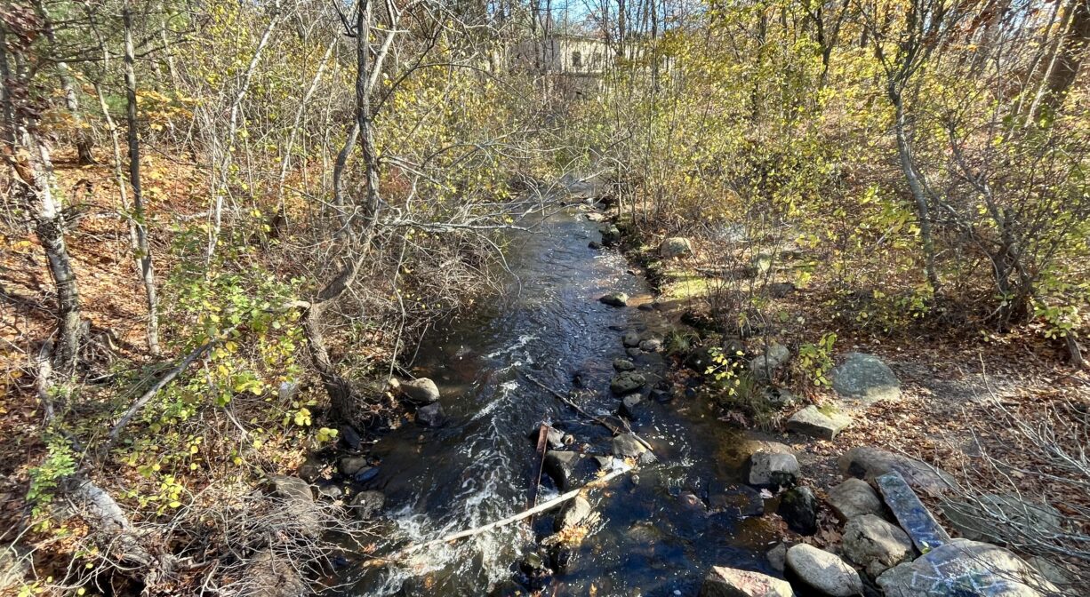 A photograph of a stream flowing through a forested area.