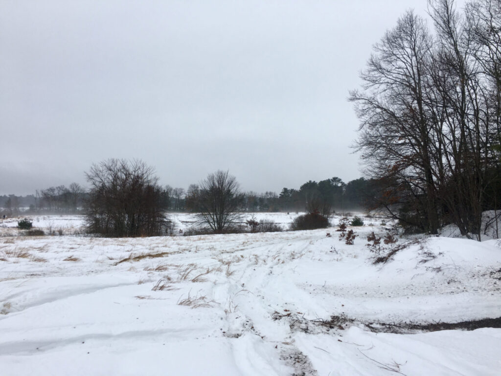 A photograph of an open snowy landscape with some trees.