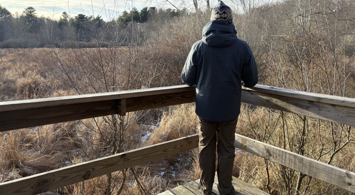 A photograph of a person standing on an observation platform overlooking a freshwater wetland.