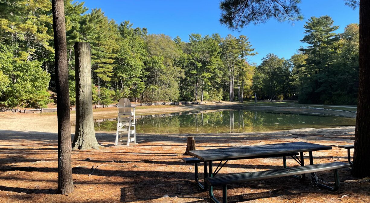 A photograph of a small pond with a lifeguard chair and a picnic table.