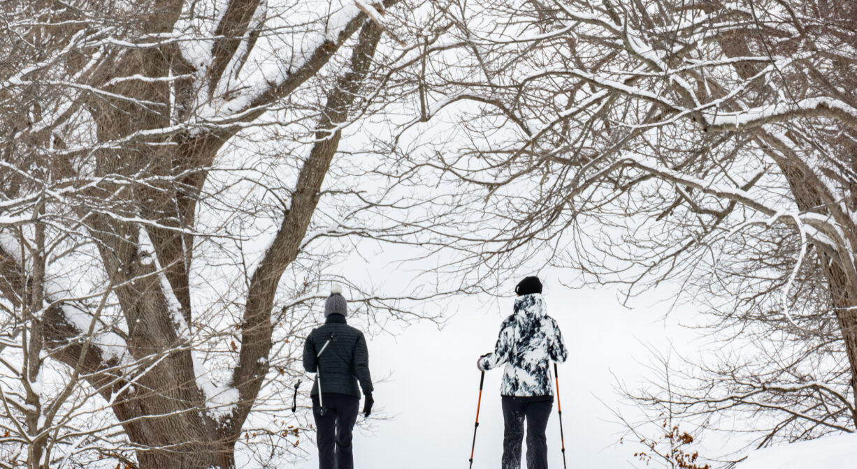 A photograph of two adults cross-country skiing next to a large tree.