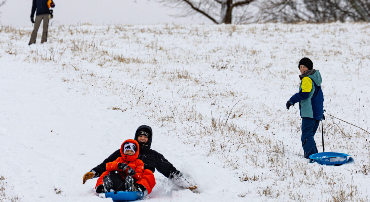 A photograph of several people sledding on a snowy hill, with some trees in the background.