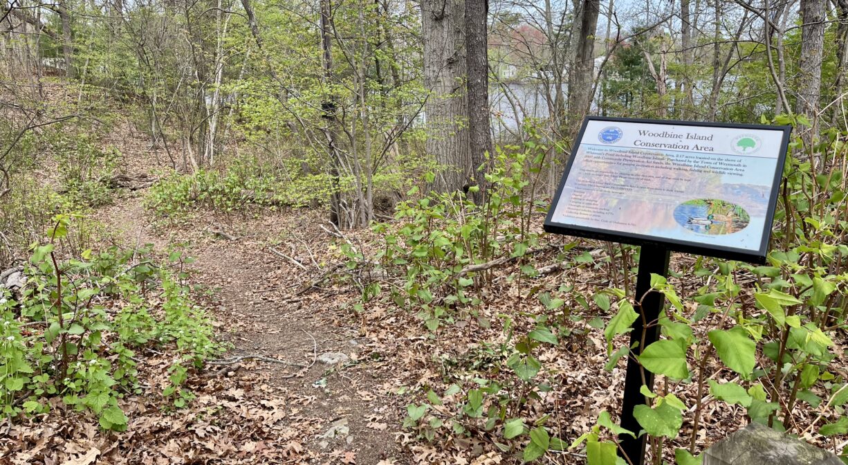 A photograph of a forest trail with a property sign.
