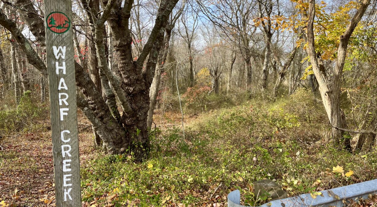 A photograph of a forest trailhead with a small sign.