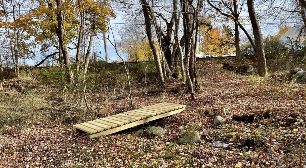 A photograph of a wooden footbridge at a stream crossing in a forest.
