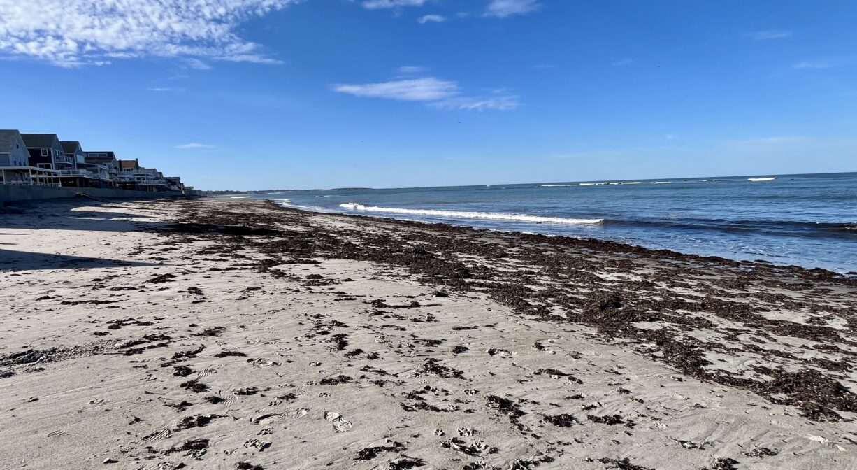 A photograph of an ocean beach, looking up the shoreline.