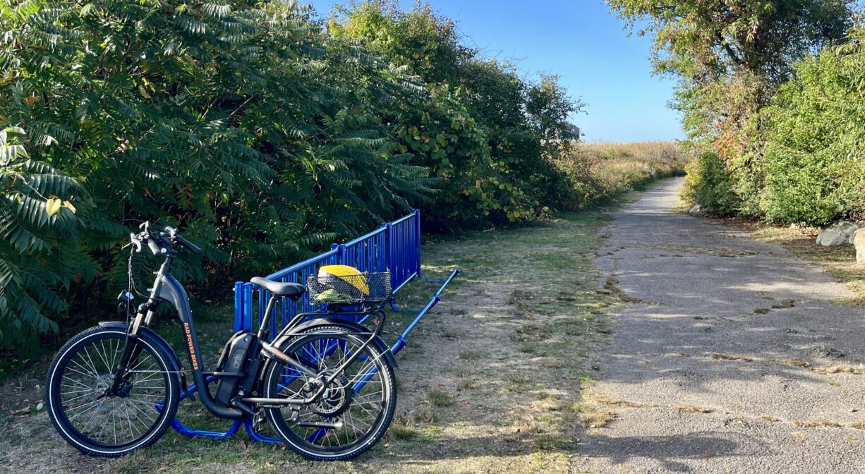 A photograph of a bicycle rack with a bike at the edge of a pathway through shrubbery.