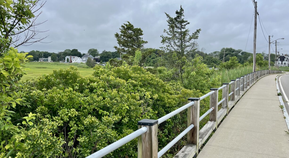 A photograph of a concrete trail with a guard rail, beside a salt marsh.