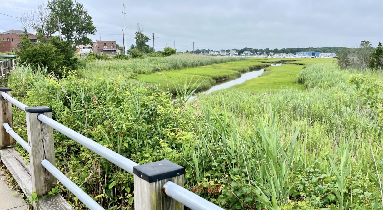 A photograph of a marsh creek as viewed from a walkway with a guard rail.