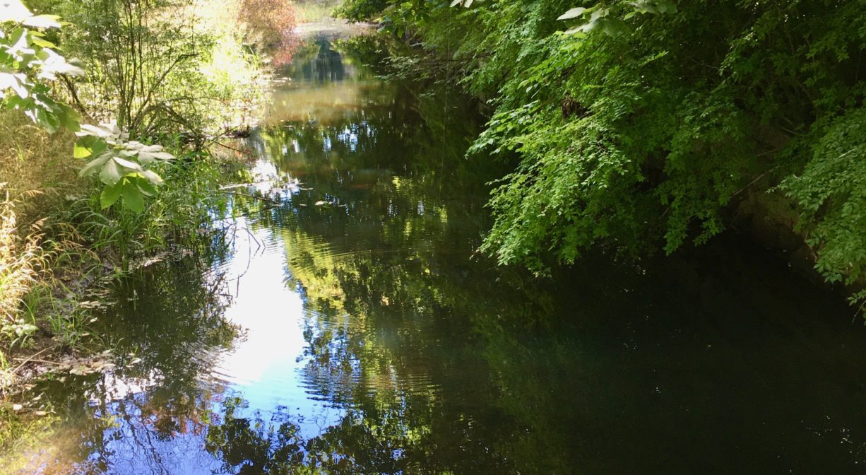 Poor Meadow Brook Conservation Area North and South Rivers Watershed