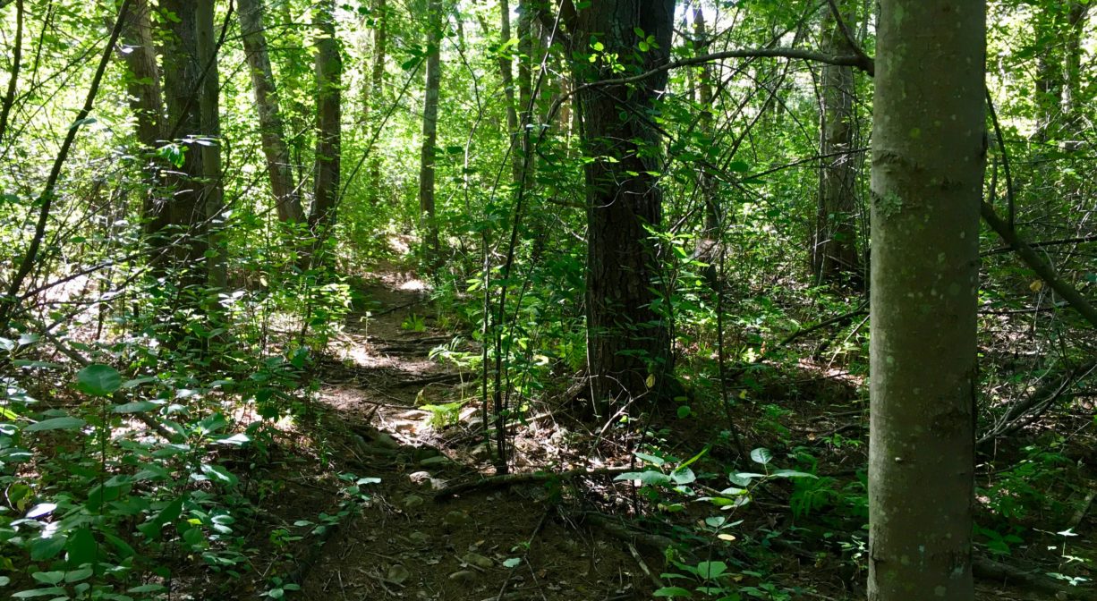 Poor Meadow Brook Conservation Area North and South Rivers Watershed
