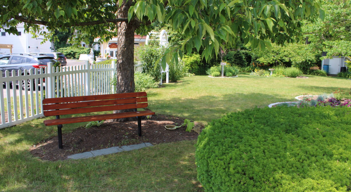 A photograph of a wooden bench in a grassy green park.