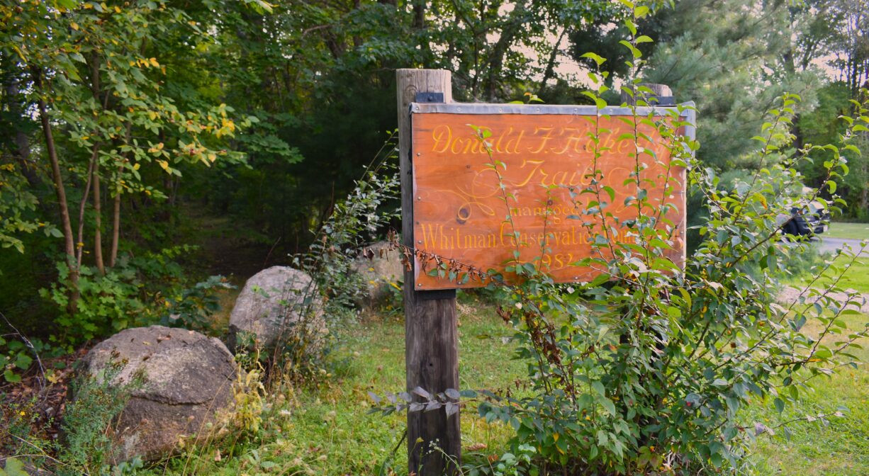 A photograph of a property sign beside a woodland.