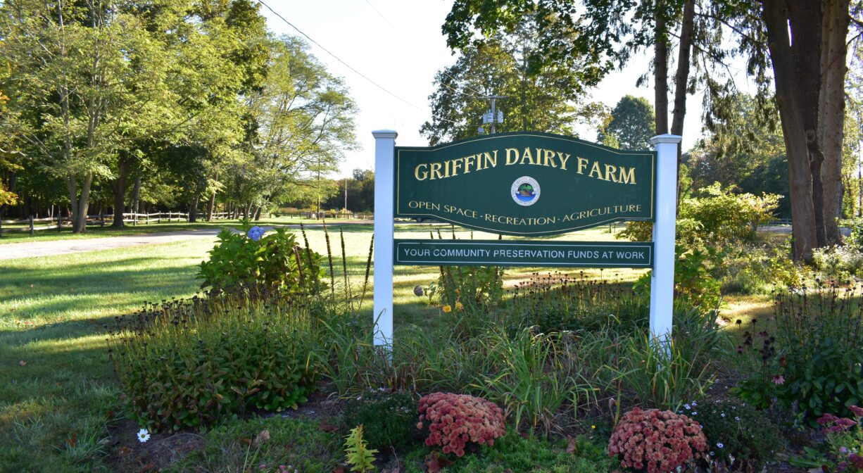 A photograph of a property sign in a grassy park.